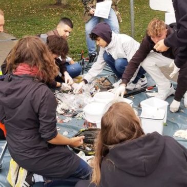 SchülerInnen sammeln Müll im Stadthafen