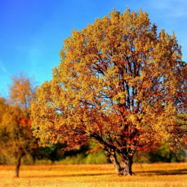 Ferienprogramm Herbst 2023