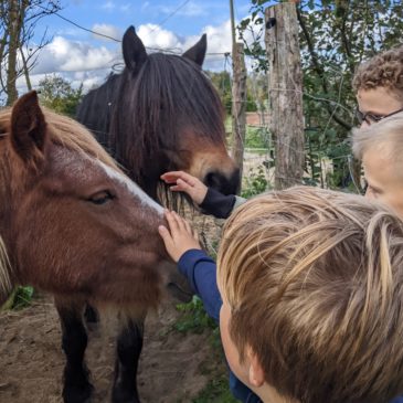 Klassen 5 und 6 besuchen im Rahmen der Forscherwoche Bauernhof