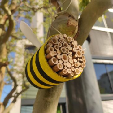 Forscher-Spezialkurs baut Bienenhotels