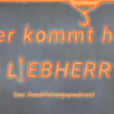 Wahlpflichtkurs „Beruf-Informatik-Technik“ erstellt Podcast zur Berufsorientierung mit Liebherr-Rostock GmbH